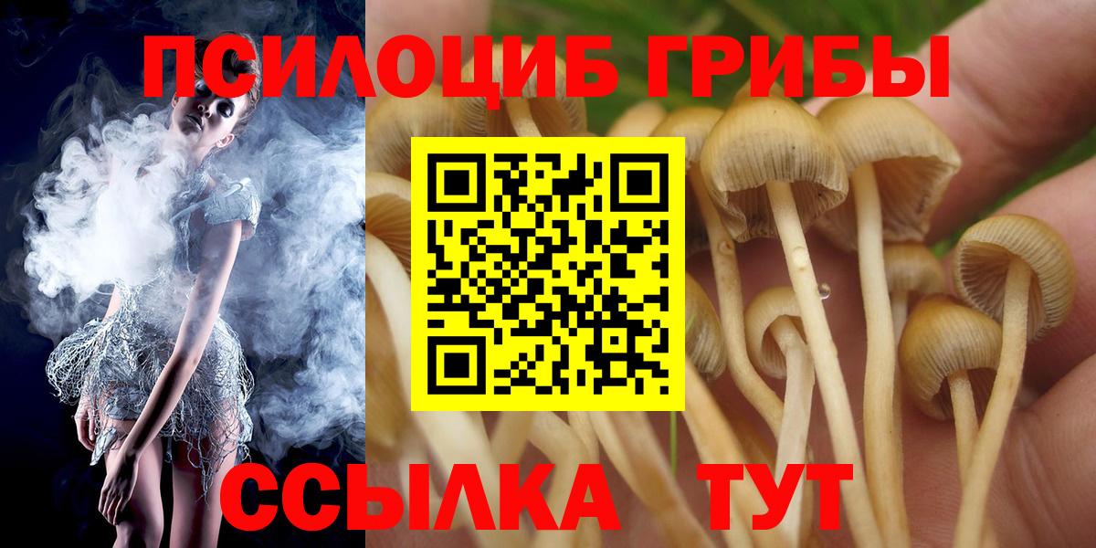 Оренбург  Псилоцибиновые грибы мицелий  Вход с VPN  Галлюциногенные грибы MAGIC MUSHROOMS 